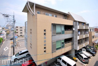 Mルクプルの画像