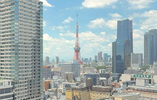 東京ツインパークスライトウイング