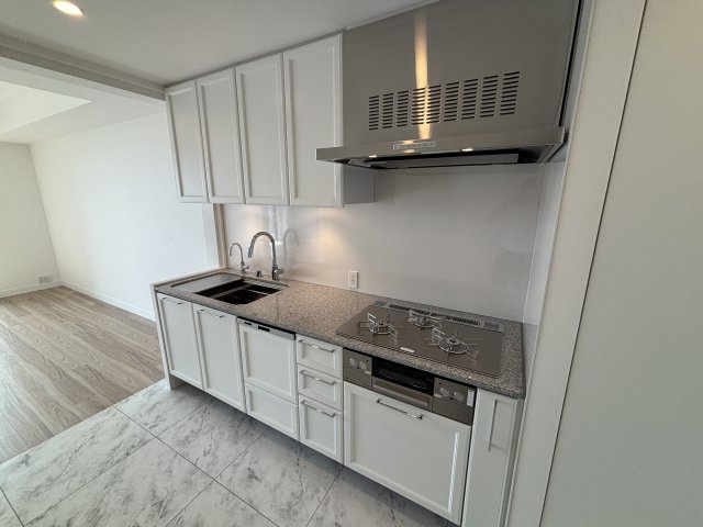 グラングリーン大阪 THE NORTH RESIDENCEのキッチン|食器洗浄機、ディスポーザー付きのオシャレなシステムキッチンです。