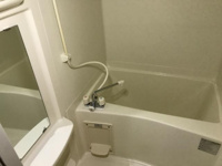 バス