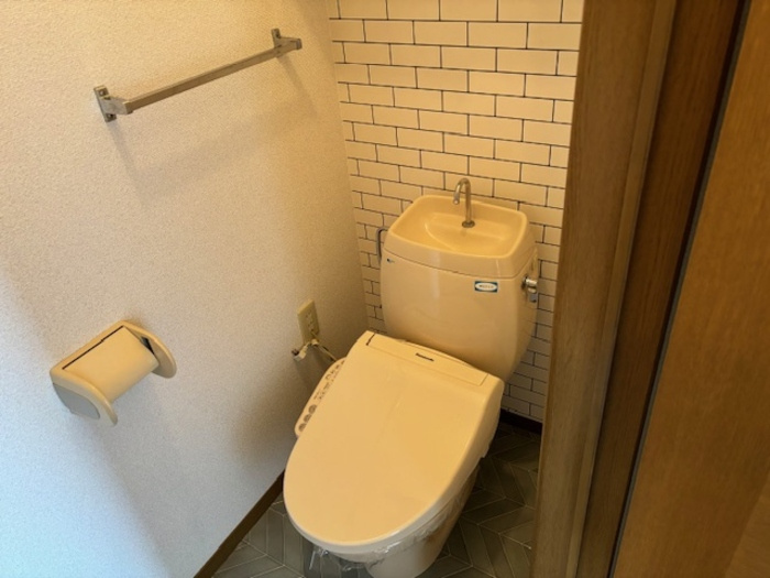 ドミールパーク江﨑　1のトイレ