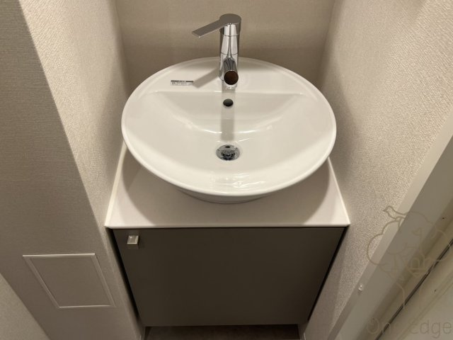 エスリードレジデンス梅田デュオの洗面所