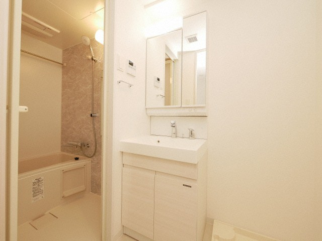 S-RESIDENCE福島Alovitaの洗面所