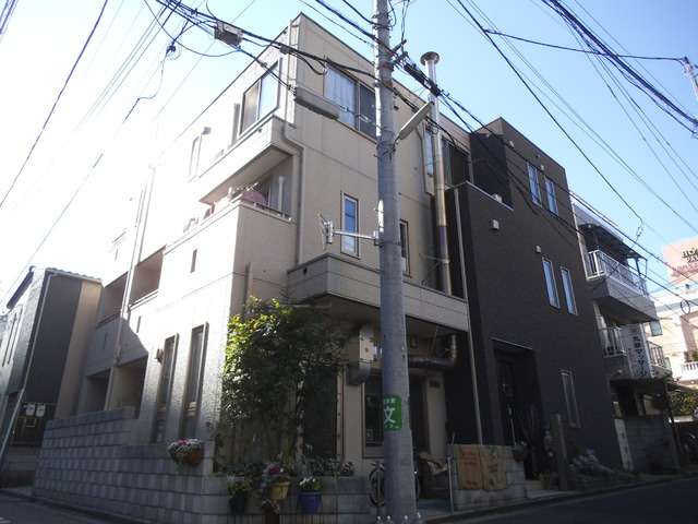 プリマヴェーラ梅の木