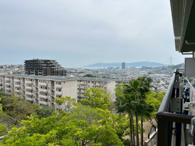 パームスクエアジェームス山 の展望