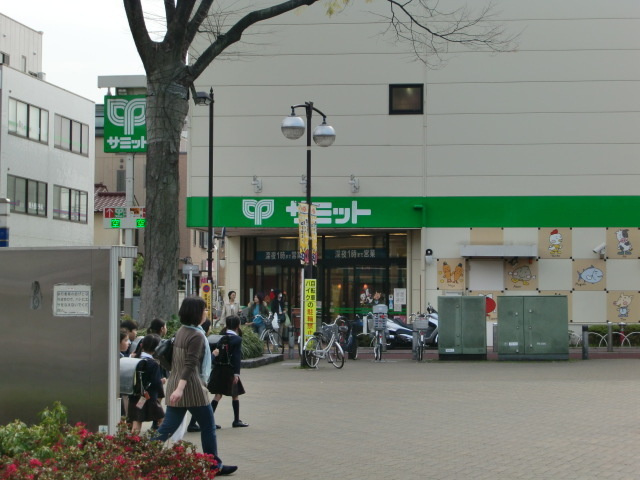 メゾンスカイピアのその他|食品スーパー　サミット（喜多見駅周辺）