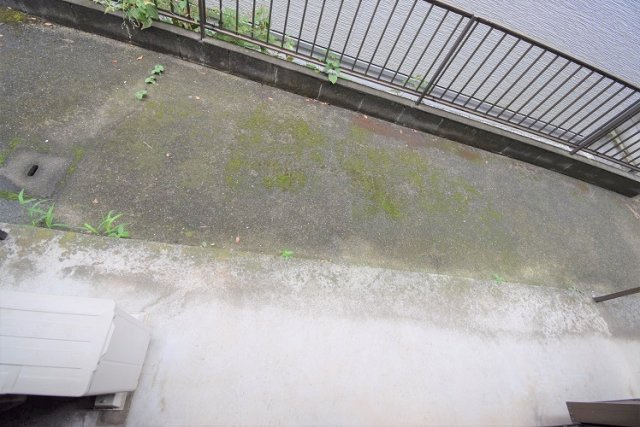 ブラウンハウスの庭