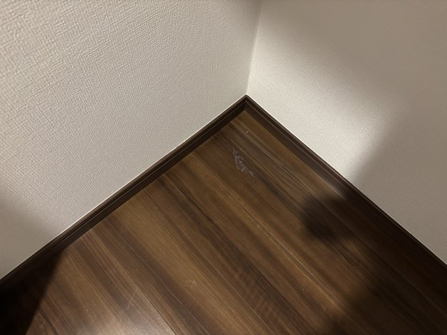 ププレＭＩＹＡ銀座東の収納