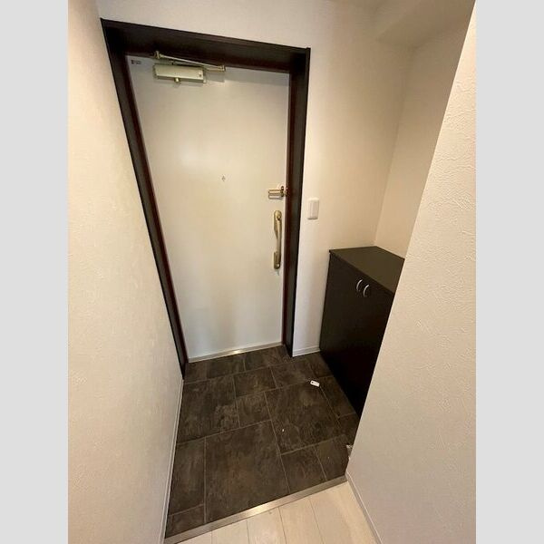 グランパシフィック木川東の玄関