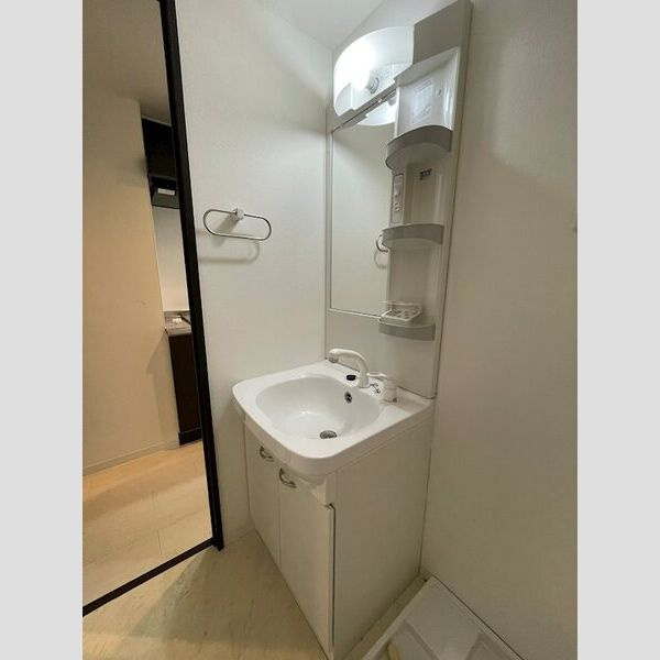 グランパシフィック木川東の洗面所