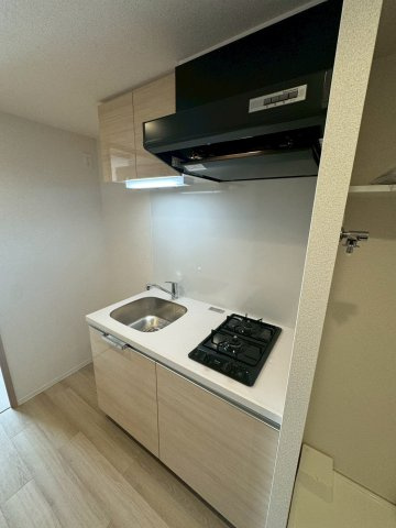 ディアレイシャス名古屋大須通　名古屋市賃貸　仲介手数料無料のキッチン