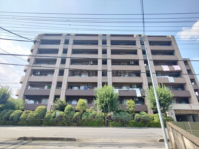 【】の画像