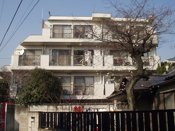 クリスタル笹塚PartⅠの外観|きれいな外観です