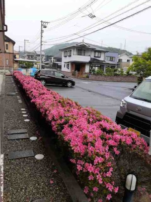 【駐車場】 | ほうれんそう | 車をお持ちの方に嬉しい駐車場付きの物件です