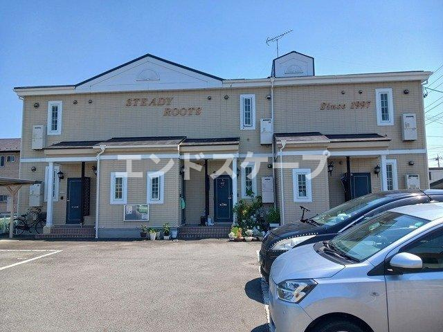 ステディールーツ