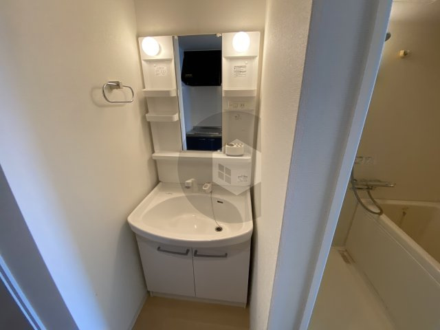 東大阪市若江西新町４丁目の賃貸マンションの洗面所