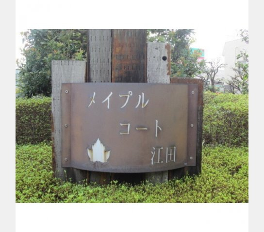 メイプルコート江田のその他
