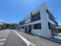 ポニョ・コンフィートの画像