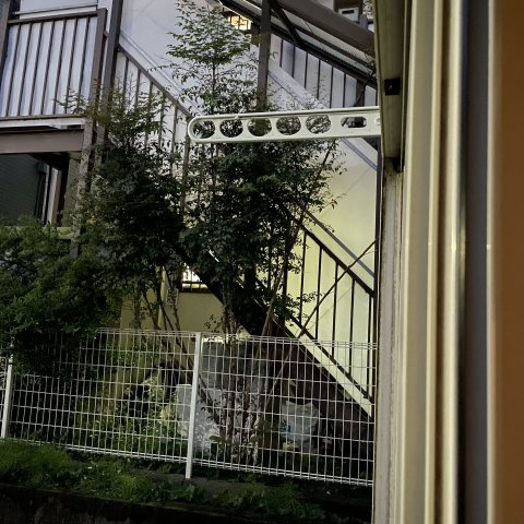 メゾン・ド・ルルス・トロワのその他