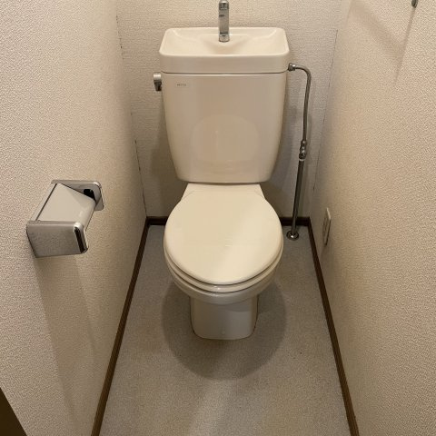 メゾン・ド・ルルス・トロワのトイレ