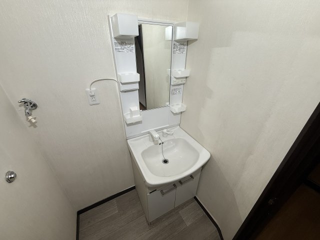 東中戸建の洗面所