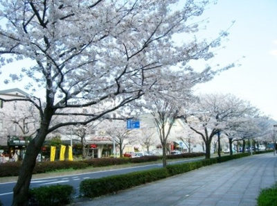 【展望】 | BAUTISTA 