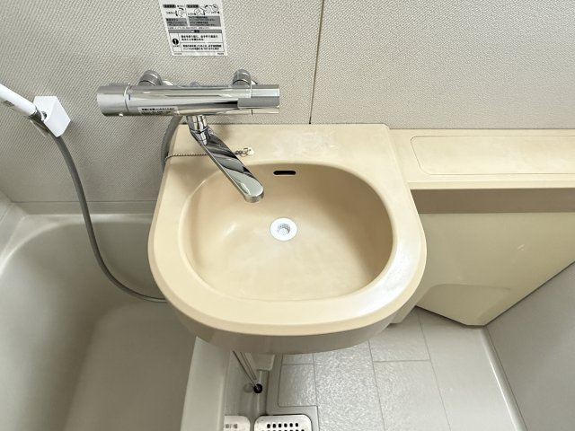 リベルターの洗面所