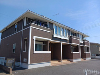 ラフィーシアＡの画像