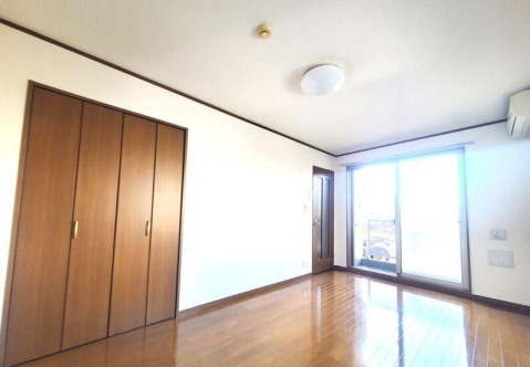 アンプルールフェールカノンのその他
