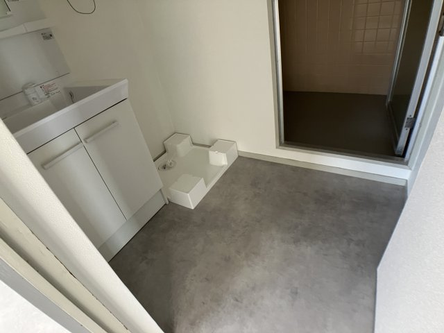 エクセレント白山の洗面所