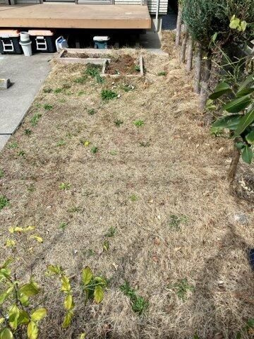 南花島戸建の庭