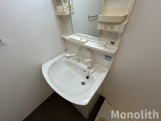 ロイヤルフラット壱番館の洗面所