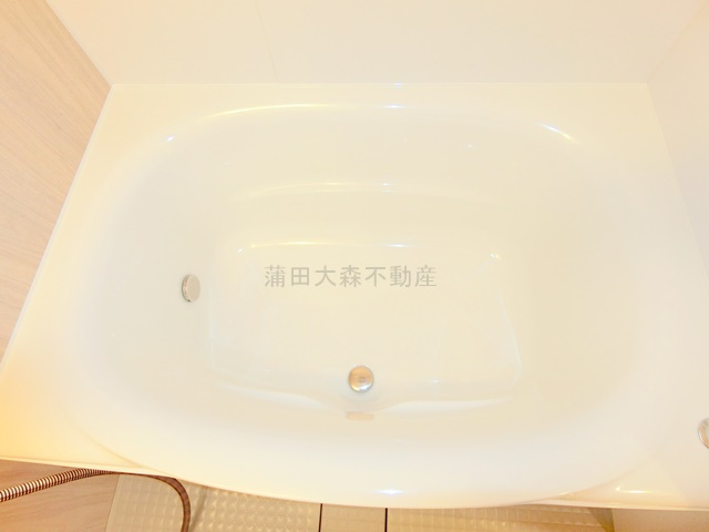 RJRプレシア蒲田の浴室