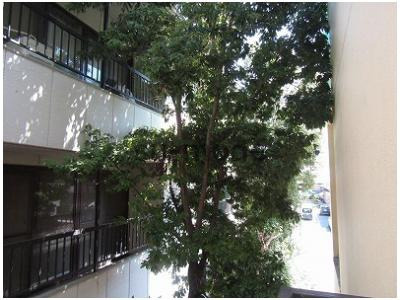 高槻市富田町５丁目の賃貸マンションの展望