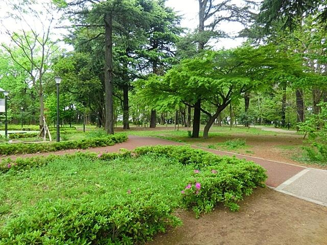 江古田の森公園まで450m