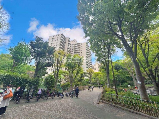 サンシティJ棟の周辺|中庭・竹林・緑地が点在し、「みどり100選」にも選ばれるなど、生物多様性に配慮した計画。都内では希少な“団地×森”の住環境です。