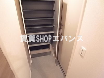  | カメリアⅡ