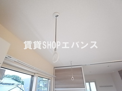  | カメリアⅡ