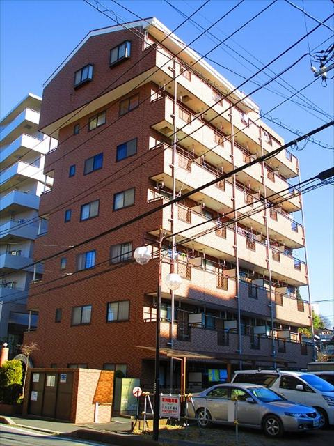 ラフィーヌ・プレミエ