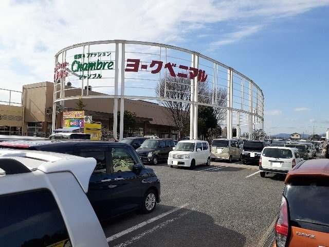 ラ・フランセ下古山Ｂの周辺|ヨークベニマル石橋店まで550m