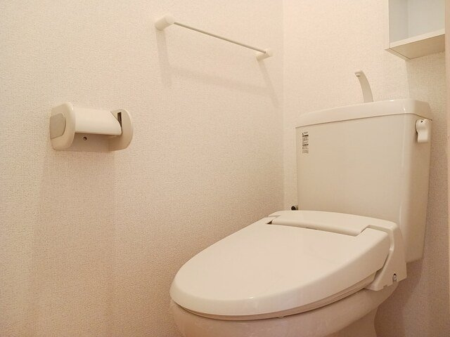 ウエスト・モンテローザのトイレ|落ち着いた色調のトイレです