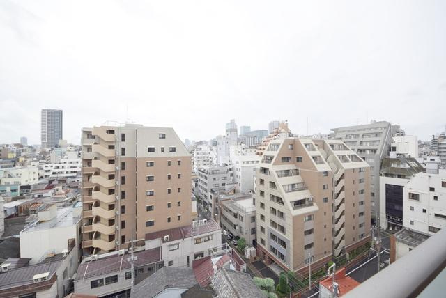 ザ・パークハビオ上野御徒町の展望