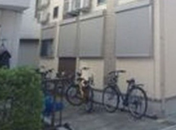 ハーモニーテラス中野のその他共用部分