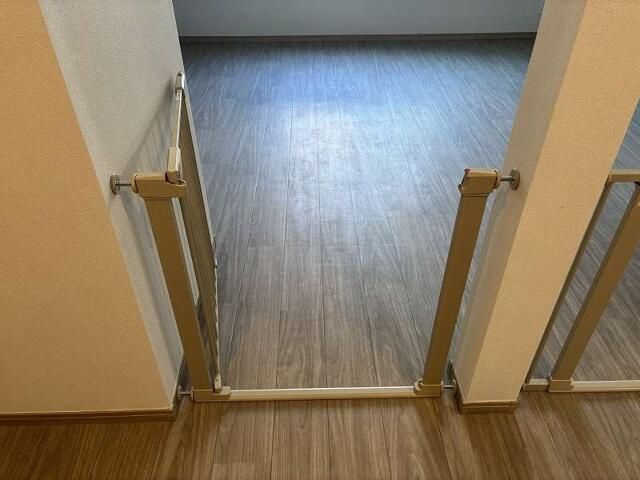 ｂｒｉｌｌａｎｔｅ　ｐａｗｓ　舎人のその他
