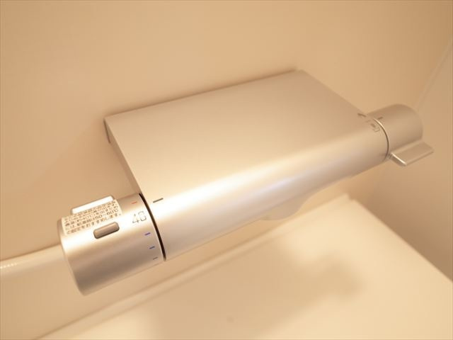 ブラウンダッハのその他|その他