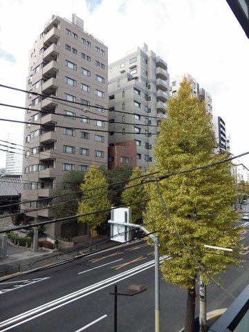 グランカーサ本駒込の展望