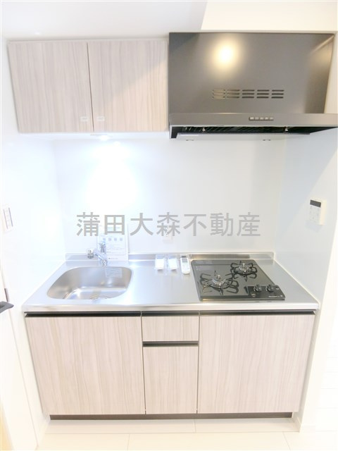 COCOCUBE大森西東邦医大通りのキッチン|2口ガスシステムキッチン