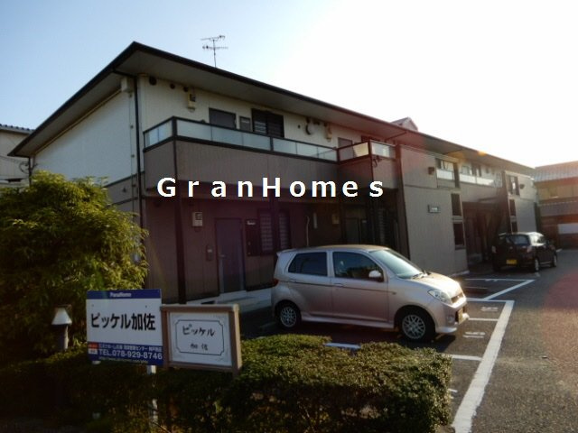 ピッケル加佐
