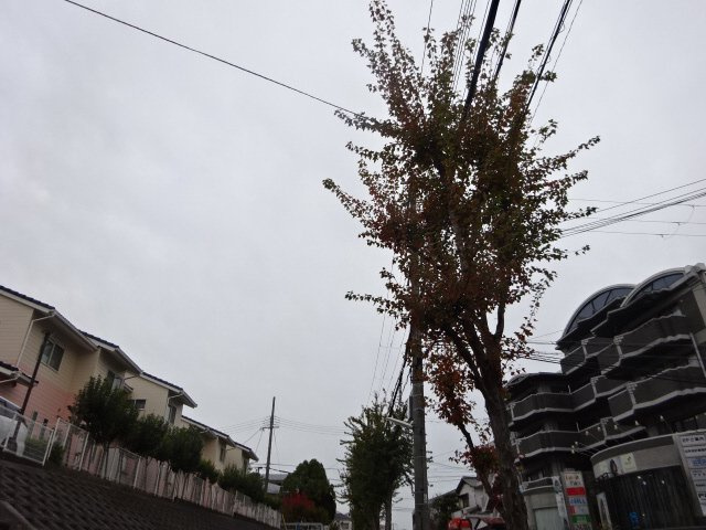 ポストセイシンの展望
