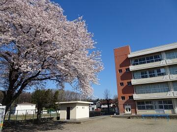 宇都宮市兵庫塚３丁目　３ＳＬＤＫ　中古住宅のその他|宇都宮市立新田小学校まで829m